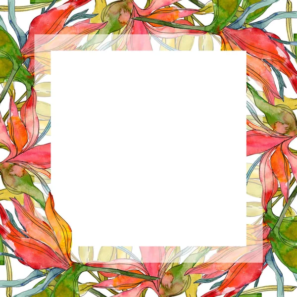 Tropical floral botanical flowers. Exotic plant leaf isolated. Watercolor background illustration set. Watercolour drawing fashion aquarelle isolated. Frame border ornament square. — Stock Photo