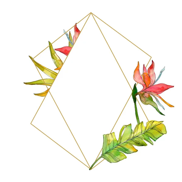 Flores botánicas tropicales florales. Hoja de planta exótica aislada. Conjunto de ilustración de fondo acuarela. Acuarela dibujo moda acuarela aislado. Marco borde ornamento cuadrado . - foto de stock