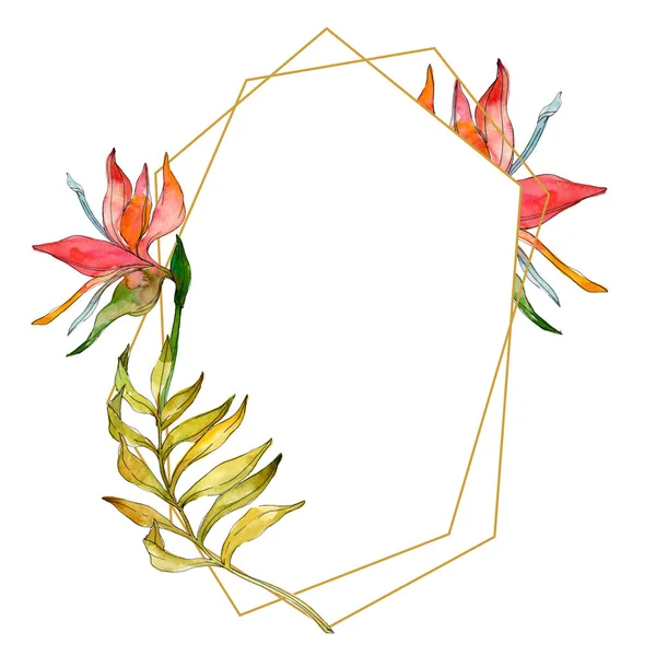 Fiori botanici tropicali floreali. Pianta esotica foglia isolata. Acquerello sfondo illustrazione set. Acquerello disegno moda acquerello isolato. Quadrato ornamento bordo cornice . — Foto stock