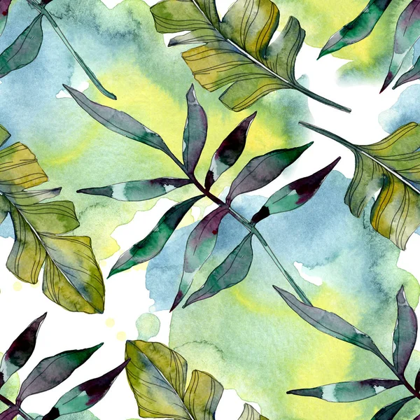 Plante à feuilles vertes botanique. Été hawaïen tropical exotique. Ensemble d'illustration aquarelle. Aquarelle dessin mode aquarelle isolé. Modèle de fond sans couture. Texture d'impression papier peint tissu . — Photo de stock