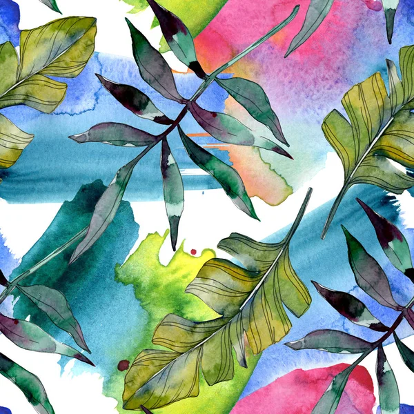 Plante à feuilles vertes botanique. Été hawaïen tropical exotique. Ensemble d'illustration aquarelle. Aquarelle dessin mode aquarelle isolé. Modèle de fond sans couture. Texture d'impression papier peint tissu . — Photo de stock