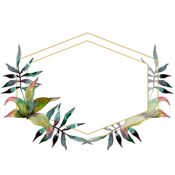 Planta de hoja verde follaje jardín botánico. Verano hawaiano tropical exótico. Conjunto de ilustración de fondo acuarela. Acuarela dibujo moda acuarela aislado. Marco borde ornamento cuadrado . - foto de stock