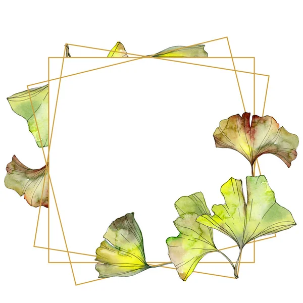 Зелено-жовте листя гінкго білоба акварельний набір ілюстрацій фону. Прикраса рамки з пробілом для копіювання . — стокове фото