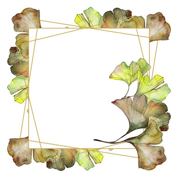 Vert et jaune ginkgo biloba feuillage aquarelle fond illustration ensemble. Cadre bordure ornement avec espace de copie . — Photo de stock