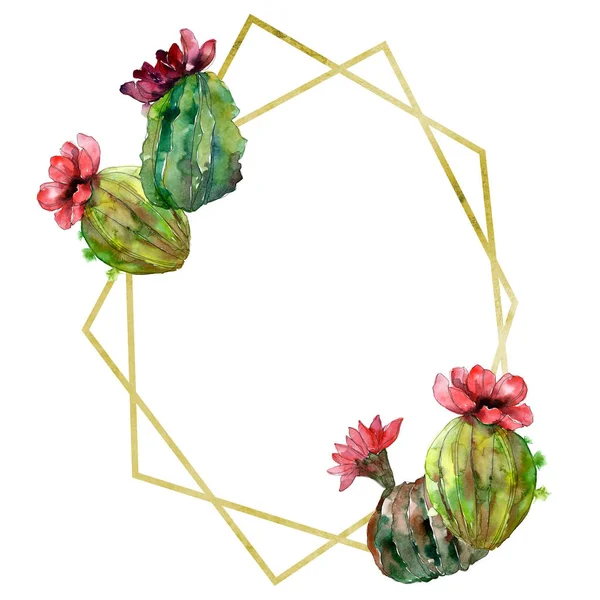 Green cactus floral botanical flower. Wild spring leaf wildflower isolated. Watercolor background illustration set. Watercolour drawing fashion aquarelle. Frame border ornament square. — Stock Photo