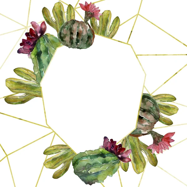 Flor botánica floral de cactus verde. Flor silvestre de hoja de primavera aislada. Conjunto de ilustración de fondo acuarela. Acuarela dibujo moda aquarelle. Marco borde ornamento cuadrado . - foto de stock