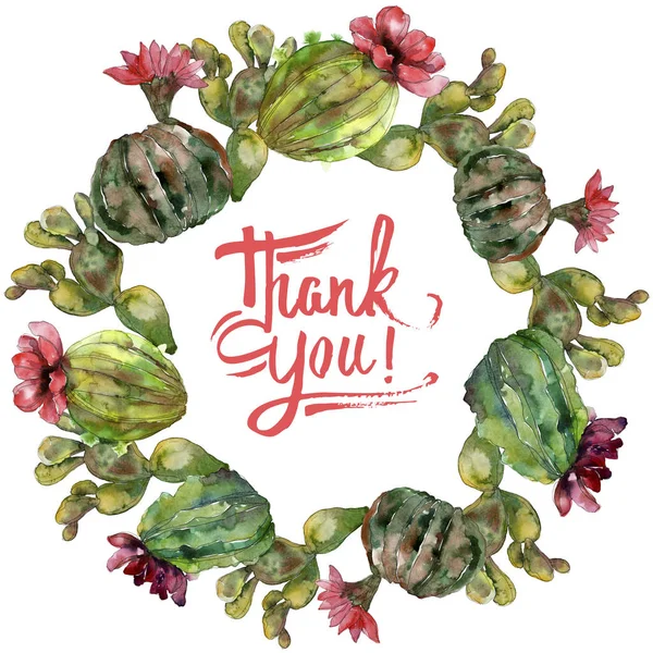 Fleurs botaniques florales de cactus vert. Feuille sauvage de printemps fleur sauvage isolée. Ensemble d'illustration de fond aquarelle. Aquarelle dessin mode aquarelle. Cadre bordure ornement carré . — Photo de stock