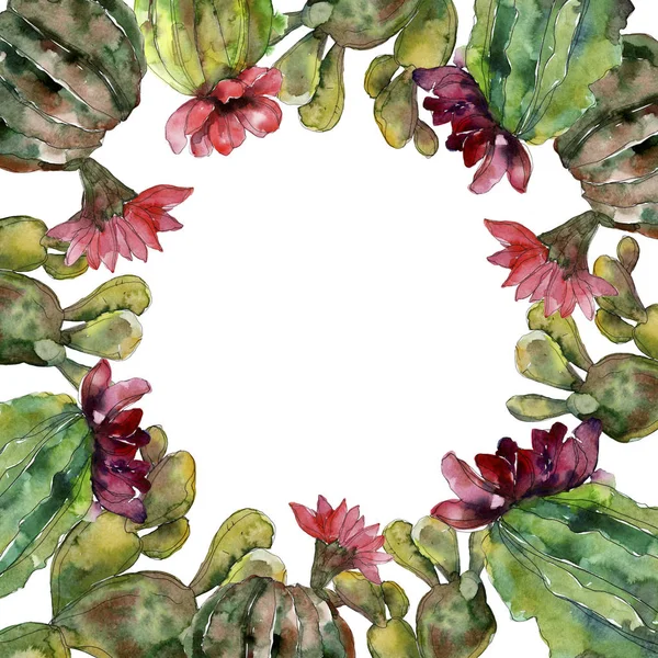 Fleurs botaniques florales de cactus vert. Feuille sauvage de printemps fleur sauvage isolée. Ensemble d'illustration de fond aquarelle. Aquarelle dessin mode aquarelle. Cadre bordure ornement carré . — Photo de stock