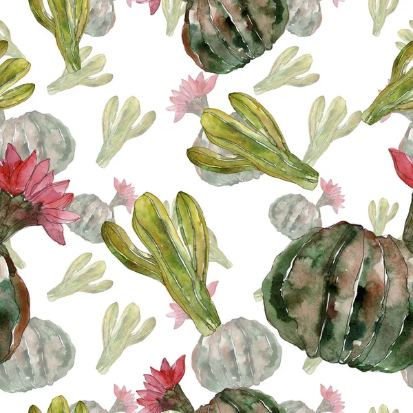 Green cactus floral botanical flower. Wild spring wildflower isolated. Watercolor illustration set. Watercolour drawing fashion aquarelle. Seamless background pattern. Fabric wallpaper print texture. — Stock Photo