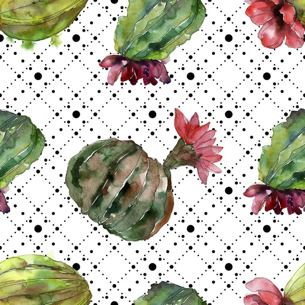 Green cactus floral botanical flower. Wild spring wildflower isolated. Watercolor illustration set. Watercolour drawing fashion aquarelle. Seamless background pattern. Fabric wallpaper print texture. — Stock Photo