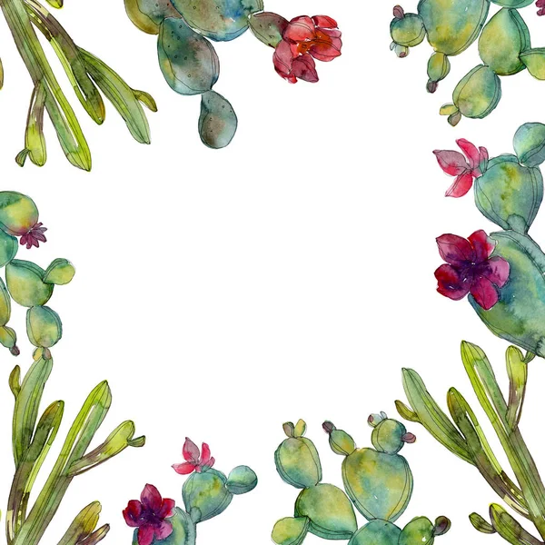 Зелений кактус акварельний набір ілюстрацій фону. Прикраса рамки з пробілом для копіювання . — стокове фото