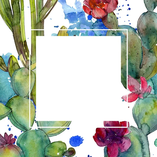 Ensemble d'illustration de fond aquarelle cactus vert. Cadre bordure ornement avec espace de copie . — Photo de stock