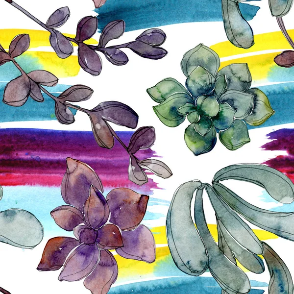 Suculentas botánicas tropicales hawaianas exóticas. Juego de ilustración en acuarela. Patrón de fondo sin costuras. Textura de impresión de papel pintado de tela . — Stock Photo