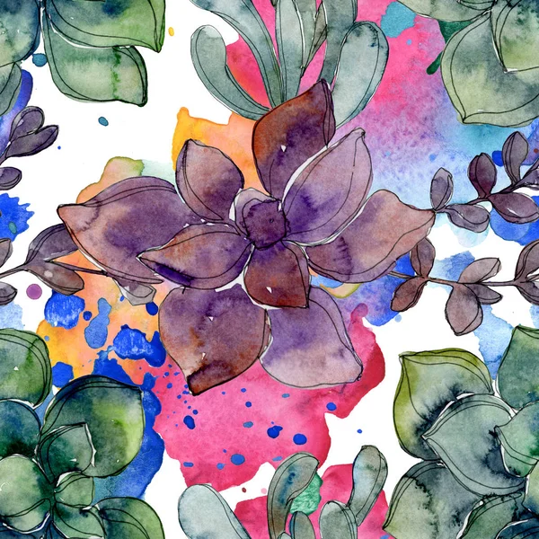 Succulents botaniques exotiques hawaïens tropicaux. Ensemble d'illustration aquarelle. Modèle de fond sans couture. Texture d'impression papier peint tissu . — Photo de stock