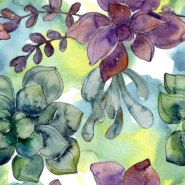 Suculentas botánicas tropicales hawaianas exóticas. Juego de ilustración en acuarela. Patrón de fondo sin costuras. Textura de impresión de papel pintado de tela . — Stock Photo