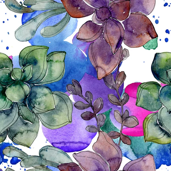 Succulents botaniques exotiques hawaïens tropicaux. Ensemble d'illustration aquarelle. Modèle de fond sans couture. Texture d'impression papier peint tissu . — Photo de stock