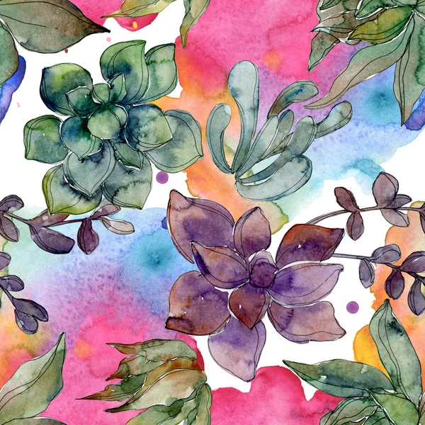 Exotic tropical hawaiian botanical succulents. Watercolor illustration set. Seamless background pattern. Fabric wallpaper print texture. — Stock Photo