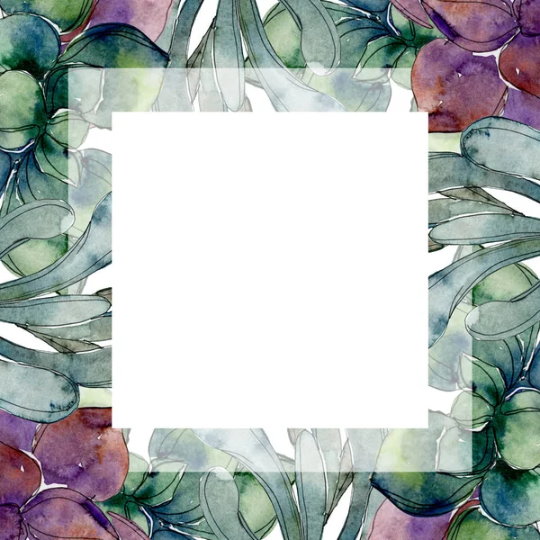 Exotic tropical hawaiian botanical succulents. Watercolor background illustration set. Frame border ornament with copy space. — Stock Photo