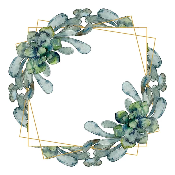 Succulente botaniche tropicali esotiche hawaiane. Acquerello sfondo illustrazione set. Ornamento bordo cornice con spazio copia . — Foto stock