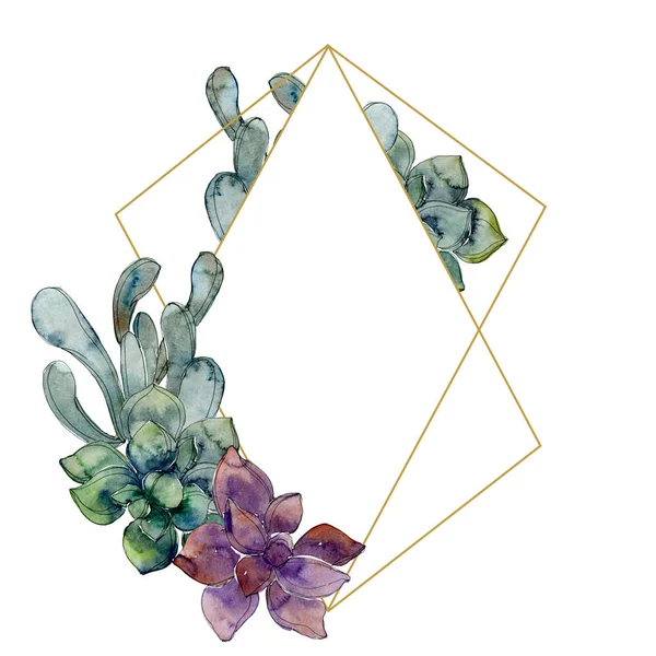 Succulents botaniques exotiques hawaïens tropicaux. Ensemble d'illustration de fond aquarelle. Cadre bordure ornement avec espace de copie . — Photo de stock