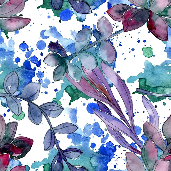 Flor botânica floral suculenta. Folha de primavera selvagem isolada. Conjunto de ilustrações aquarela. Aquarelle desenho aquarelle moda. Padrão de fundo sem costura. Tecido papel de parede impressão textura . — Fotografia de Stock