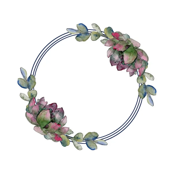 Succulento fiore botanico floreale. Fiore selvatico primaverile isolato. Acquerello sfondo illustrazione set. Acquerello disegno moda acquerello isolato. Quadrato ornamento bordo cornice . — Foto stock