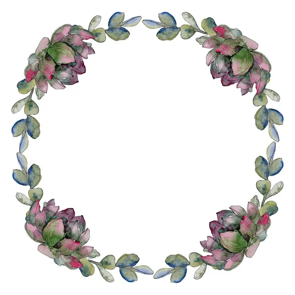 Succulento fiore botanico floreale. Fiore selvatico primaverile isolato. Acquerello sfondo illustrazione set. Acquerello disegno moda acquerello isolato. Quadrato ornamento bordo cornice . — Foto stock