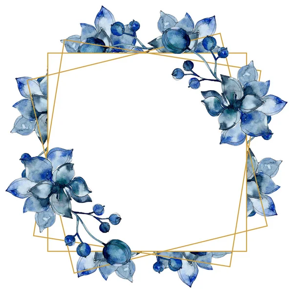 Sukkulente botanische Blumen. Aquarell Hintergrundillustration Set. Rahmen Bordüre Ornament. — Stockfoto