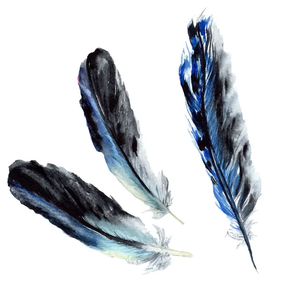 Blue and black bird feathers from wing isolated. Watercolor background illustration set. Isolated feathers illustration elements. — Stock Photo