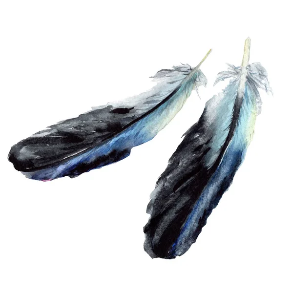 Blue and black bird feathers from wing isolated. Watercolor background illustration set. Isolated feathers illustration elements. — Stock Photo