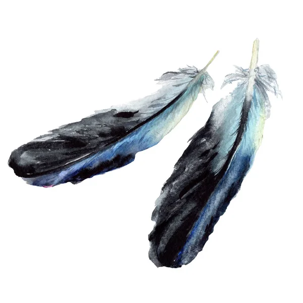 Plumes d'oiseaux bleues et noires des ailes isolées. Ensemble d'illustration de fond aquarelle. Plumes isolées éléments d'illustration . — Photo de stock