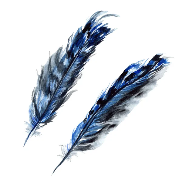 Blue and black bird feathers from wing isolated. Watercolor background illustration set. Isolated feathers illustration elements. — Stock Photo