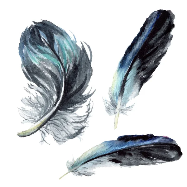 Plumes d'oiseaux bleues et noires des ailes isolées. Ensemble d'illustration de fond aquarelle. Plumes isolées éléments d'illustration . — Photo de stock