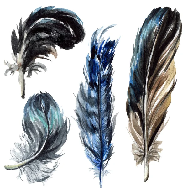 Plumas de pájaro azul y negro aisladas del ala. Conjunto de ilustración de fondo acuarela. Elementos de ilustración de plumas aisladas . - foto de stock