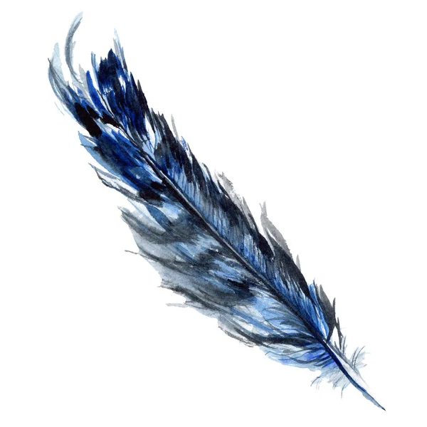 Blaue und schwarze Vogelfeder vom Flügel isoliert. Aquarell-Hintergrundillustration. isolierte Feder Illustrationselement. — Stockfoto