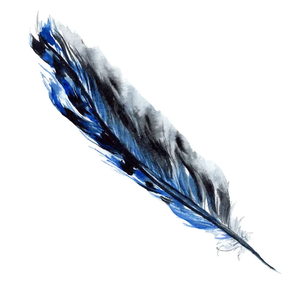 Blaue und schwarze Vogelfeder vom Flügel isoliert. Aquarell-Hintergrundillustration. isolierte Feder Illustrationselement. — Stockfoto