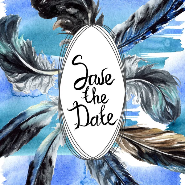 Piume di uccello blu e nero dall'ala. Acquerello sfondo illustrazione set. Ornamento bordo cornice con scritte . — Foto stock