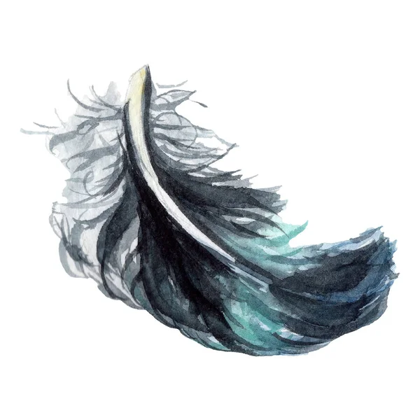 Pena de pássaro preto azulada de asa isolada. ilustração fundo aquarela. Isolado elemento ilustração pena . — Fotografia de Stock