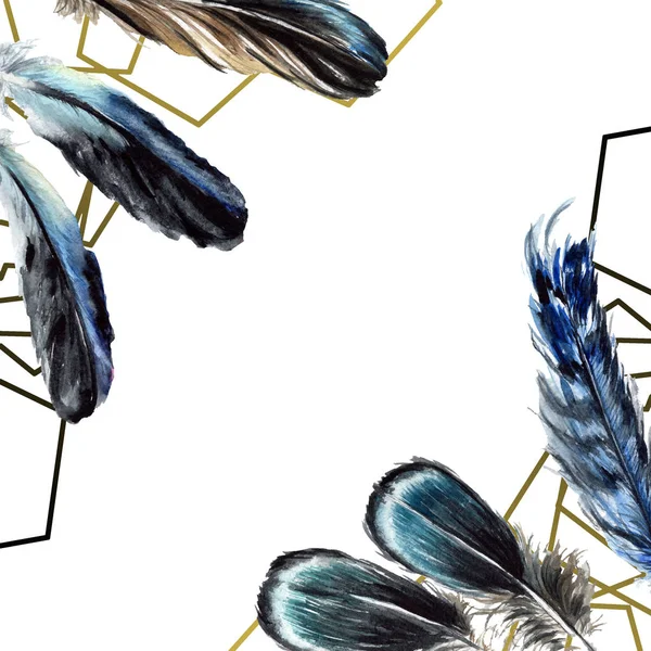 Синьо-чорне пташине пір'я з крила ізольоване. Набір ілюстрацій для акварельного фону. Прикраса рамки з пробілом для копіювання . — стокове фото