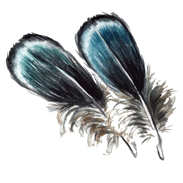 Blaue und schwarze Vogelfedern aus Flügeln isoliert. Aquarell Hintergrundillustration Set. isolierte Federn Illustrationselemente. — Stockfoto