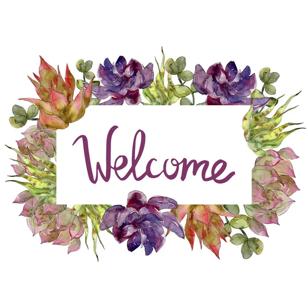 Succulenti fiori botanici. Acquerello sfondo illustrazione set. Decorazione bordo cornice con scritte di benvenuto . — Foto stock