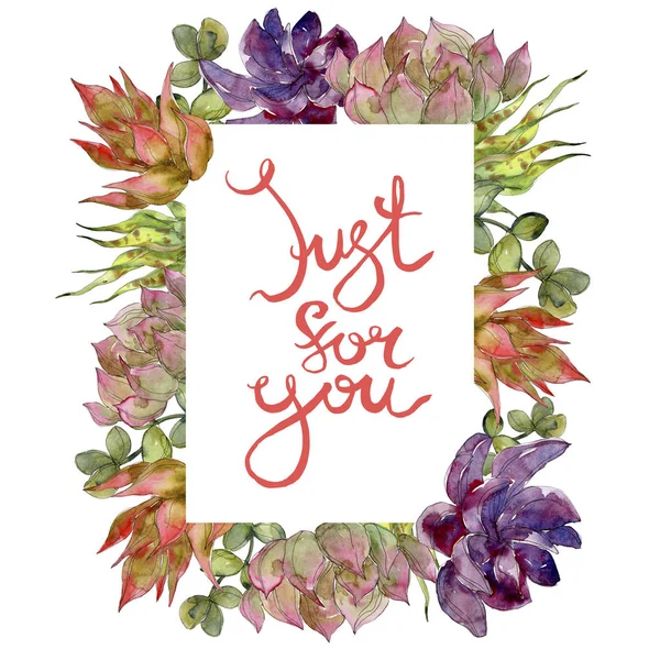 Flores botânicas suculentas. Conjunto de ilustração de fundo aquarela. Ornamento borda quadro com letras . — Fotografia de Stock