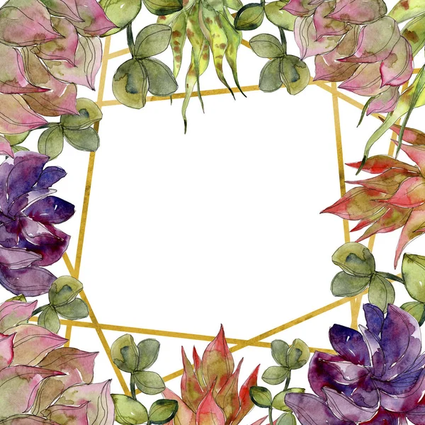 Succulente botaniche tropicali esotiche. Acquerello sfondo illustrazione set. Ornamento bordo cornice con spazio copia . — Foto stock