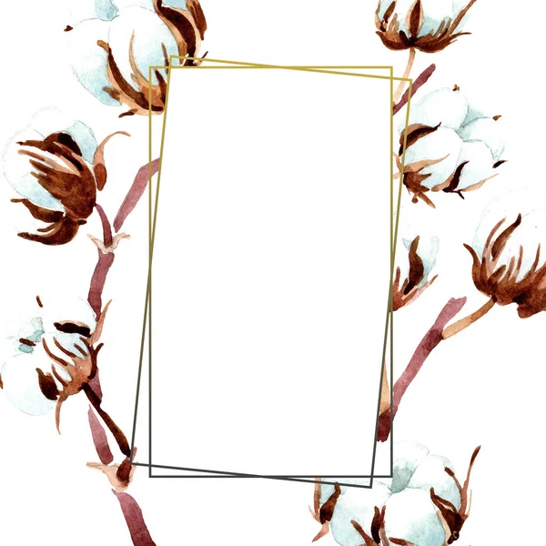 Cotton botanical flowers. Watercolor background illustration set. Frame border ornament. — Stock Photo