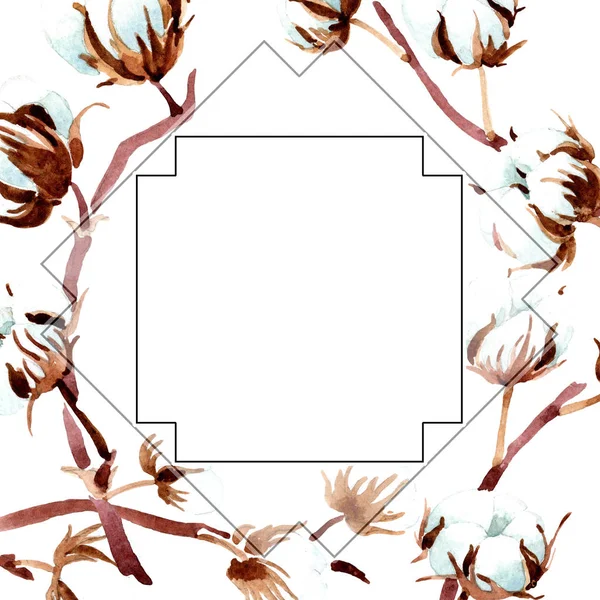 Fiori botanici di cotone. Acquerello sfondo illustrazione set. Ornamento bordo cornice . — Foto stock