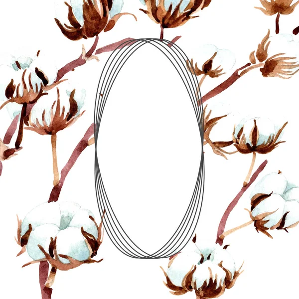 Fiori botanici di cotone. Acquerello sfondo illustrazione set. Ornamento bordo cornice . — Foto stock