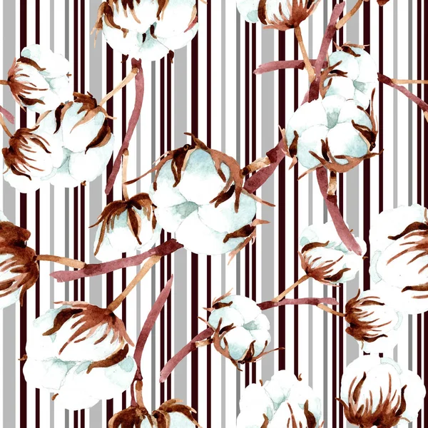 Fleurs botaniques en coton. Ensemble d'illustration aquarelle. Modèle de fond sans couture. Texture d'impression papier peint tissu . — Photo de stock
