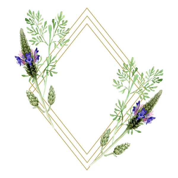 Flor botánica floral de lavanda violeta azul. Flor silvestre de hoja de primavera aislada. Conjunto de ilustración de fondo acuarela. Acuarela dibujo moda aquarelle. Marco borde ornamento cuadrado . - foto de stock