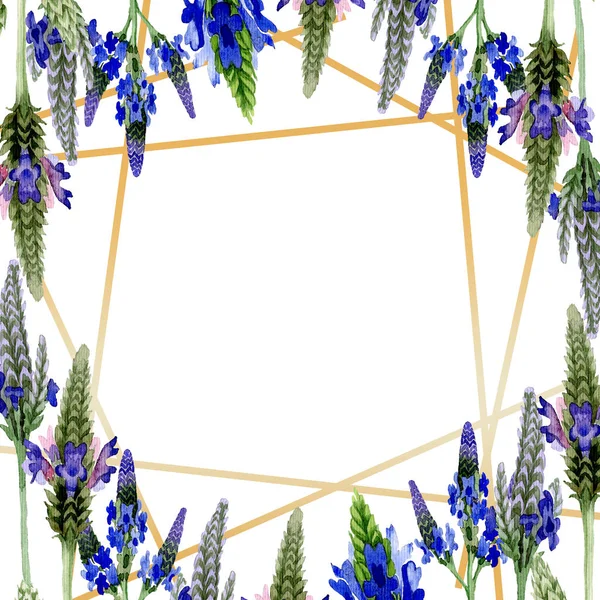 Blauviolettem Lavendel blühende botanische Blume. wildes Frühlingsblatt Wildblume isoliert. Aquarell Hintergrundillustration Set. Aquarell zeichnen Mode-Aquarell. Rahmen Rand Ornament Quadrat. — Stockfoto