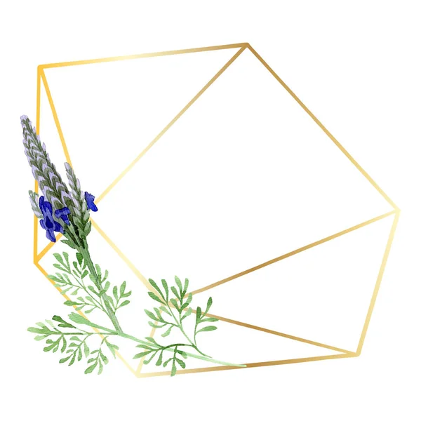 Azul violeta lavanda floral flor botânica. Folha selvagem primavera wildflower isolado. Conjunto de ilustração de fundo aquarela. Aquarelle desenho aquarelle moda. Quadro borda ornamento quadrado . — Fotografia de Stock